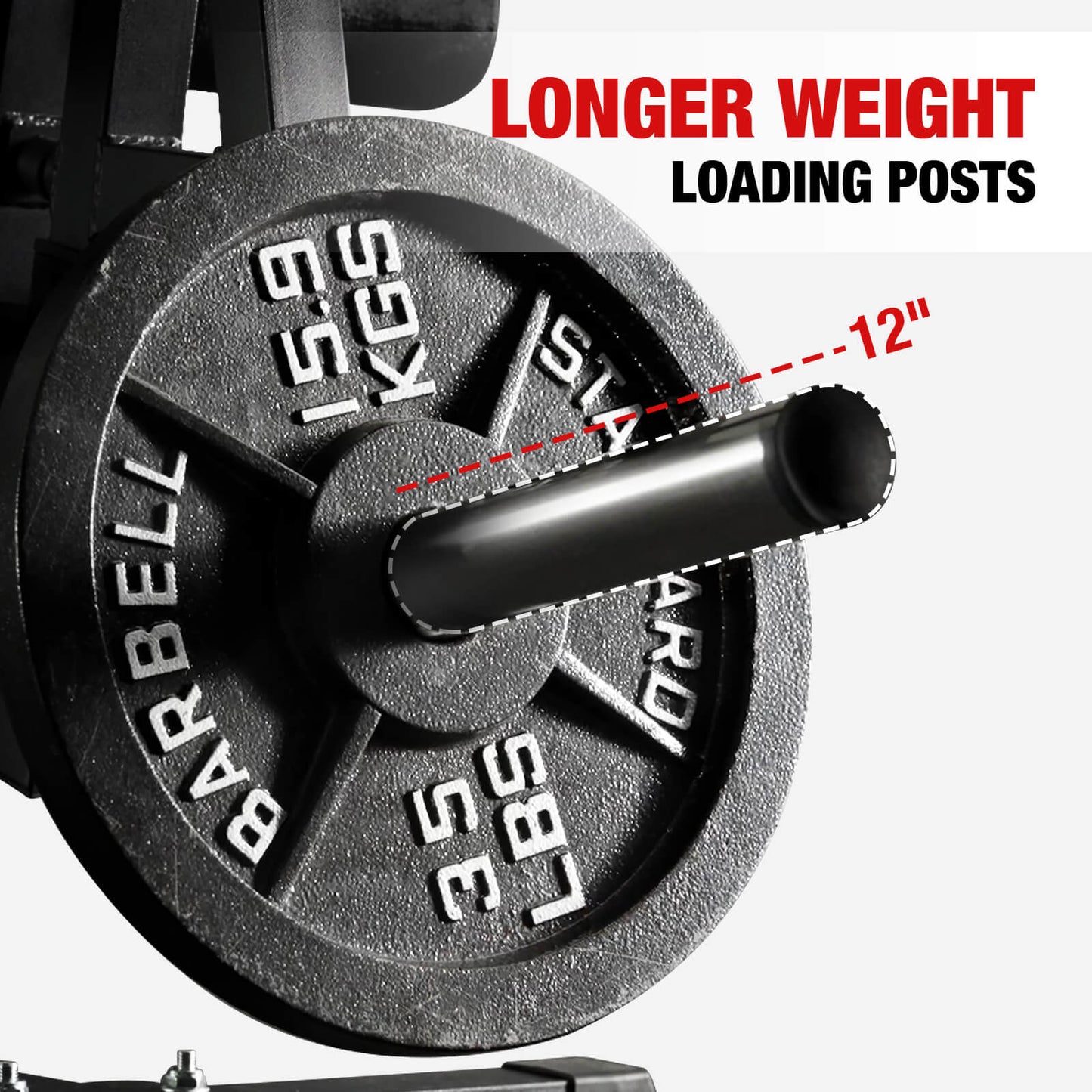 Leg Extension and Prone Leg Curl Machine LC00