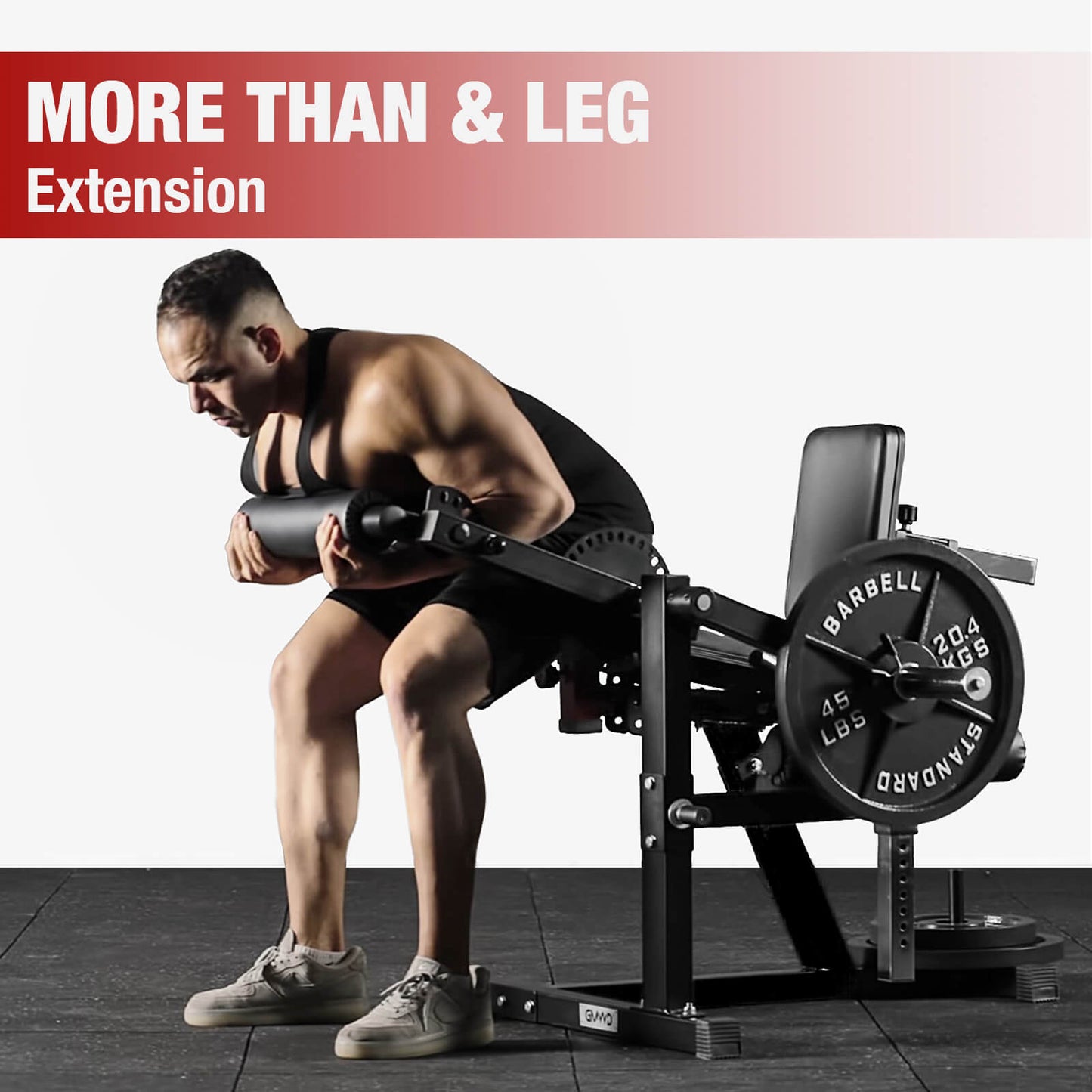 Economic Leg Extension and Curl Machine LE02