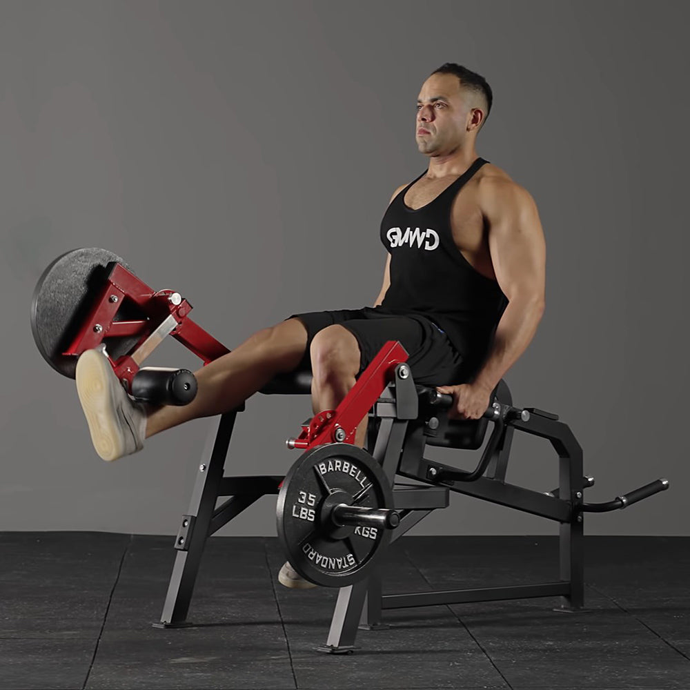 Isolated Leg Extension and Prone Leg Curl Machine LE03