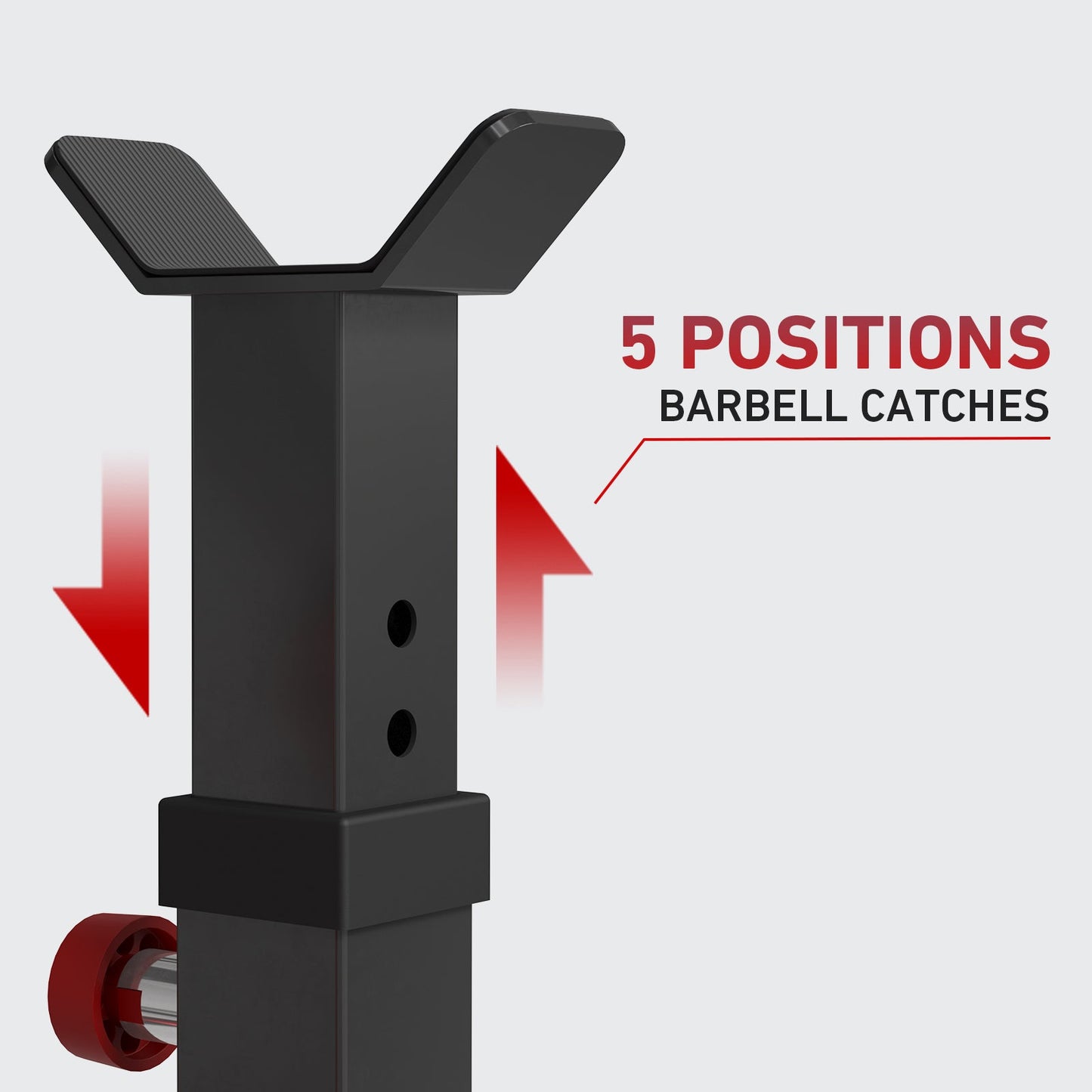 Preacher Curl And Back Extension Bench MS18