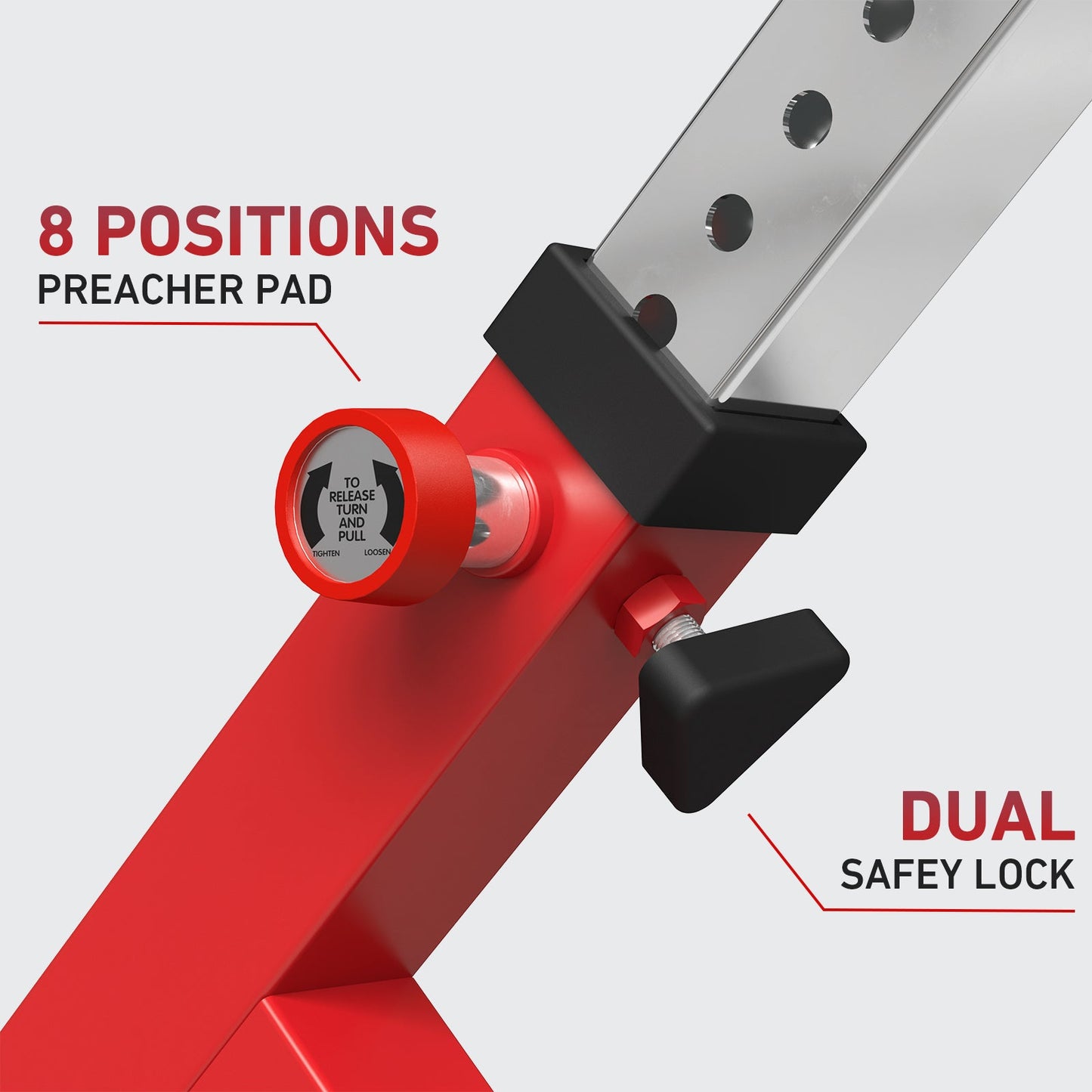 Preacher Curl And Back Extension Bench MS18