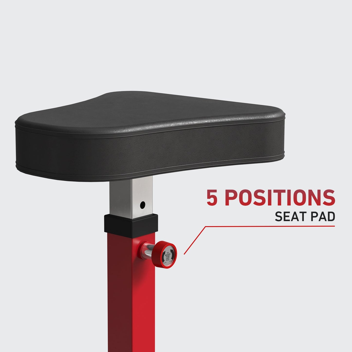 Preacher Curl And Back Extension Bench MS18