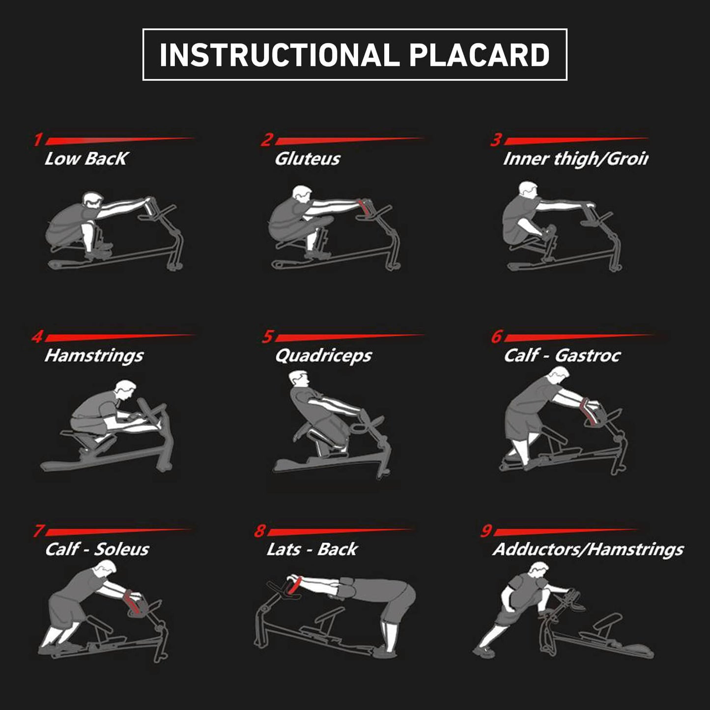 Stretch Training Machine SC01